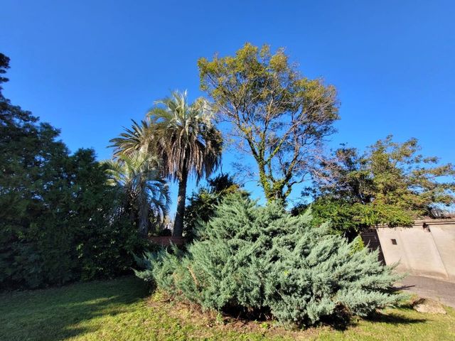 place photo 29