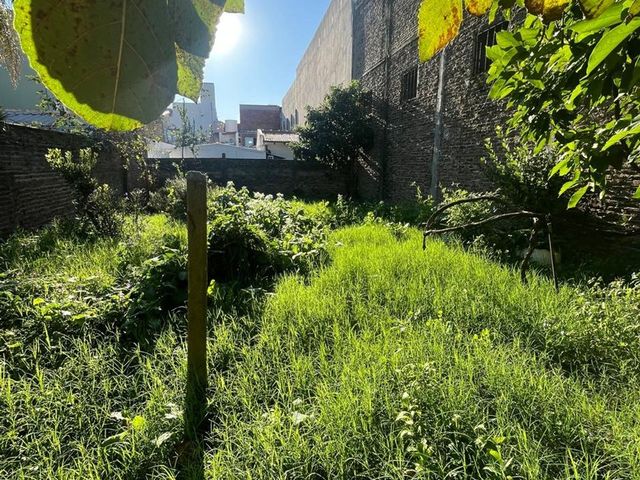 place photo 44