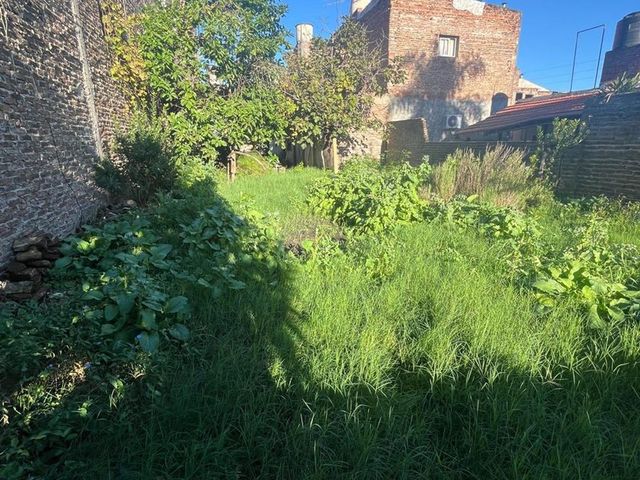 place photo 42