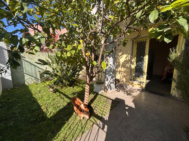 place photo 45