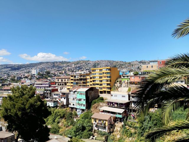 place photo 19