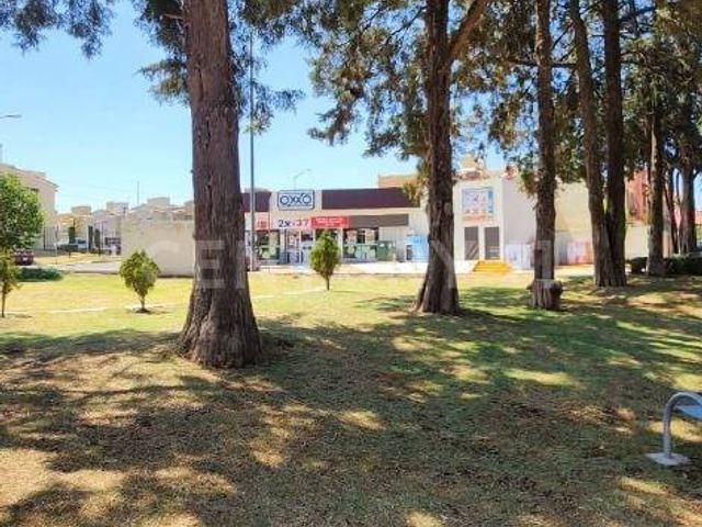 place photo 23