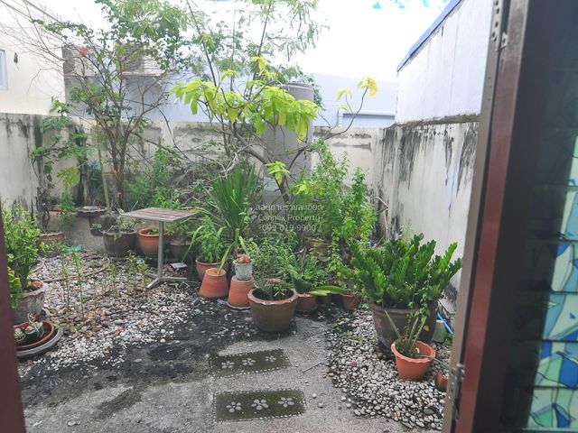 place photo 22