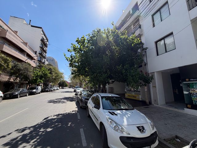 place photo 50