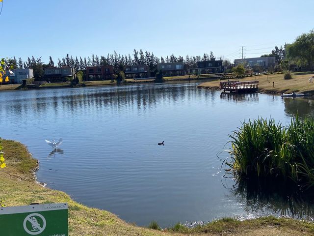 place photo 29