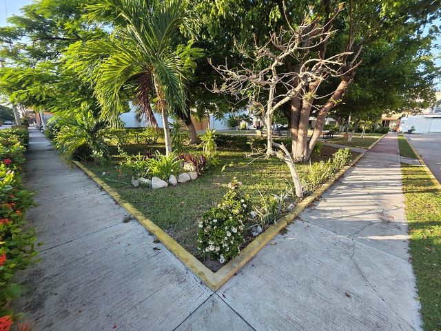 place photo 21