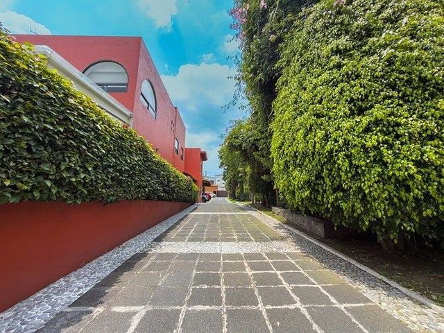 place photo 23