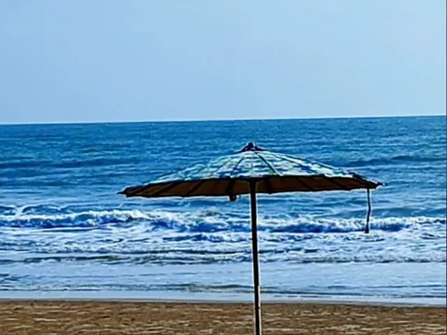place photo 34