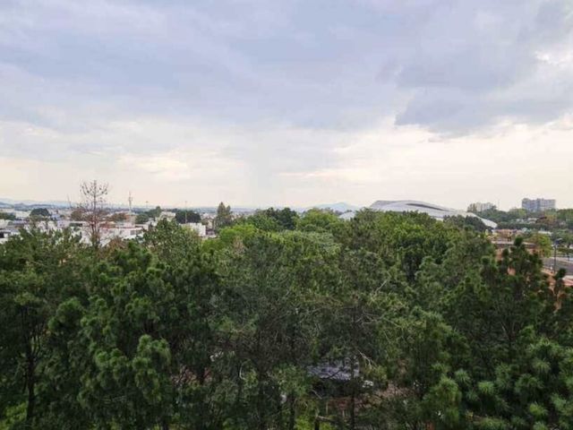 place photo 22