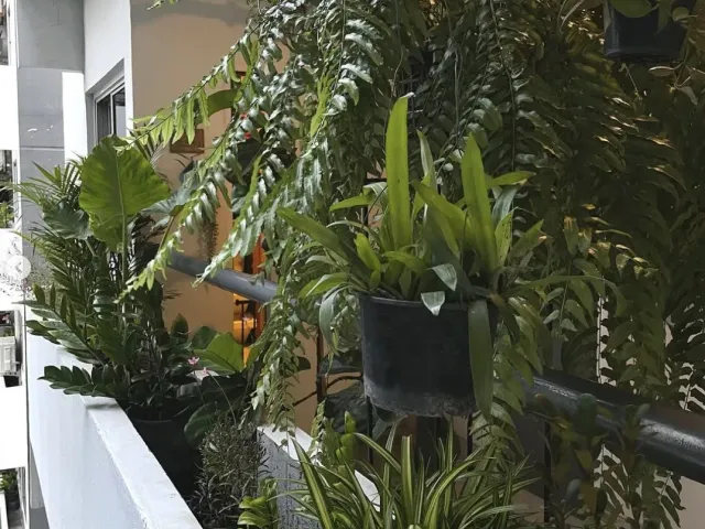 place photo 23