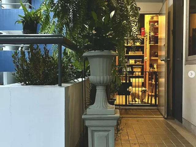 place photo 21