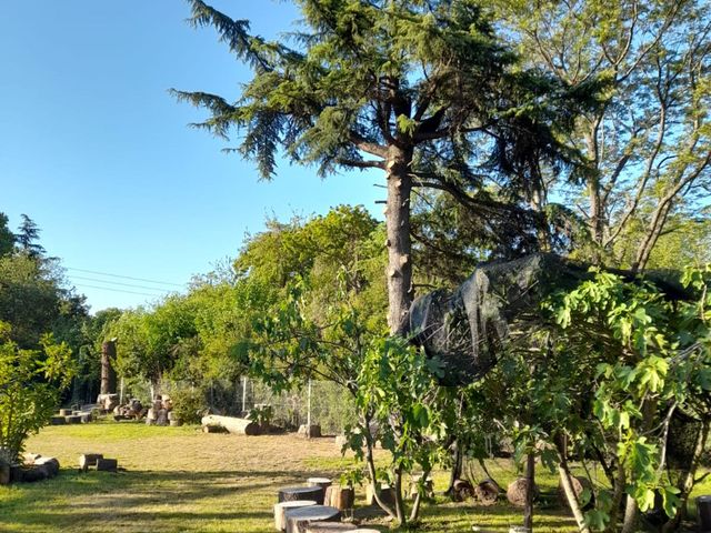 place photo 54