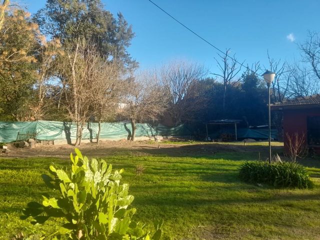 place photo 74