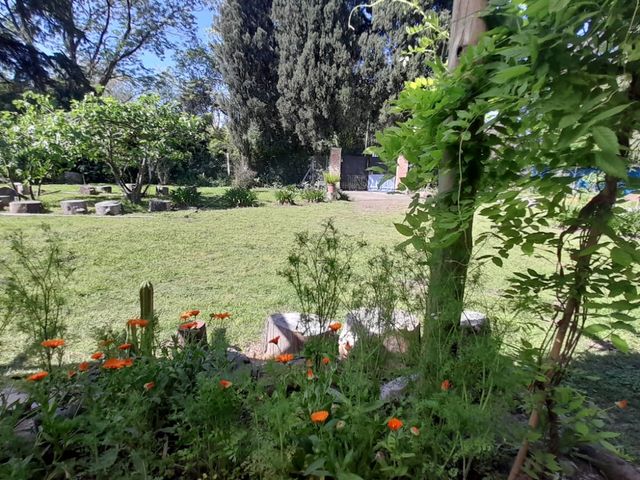place photo 72