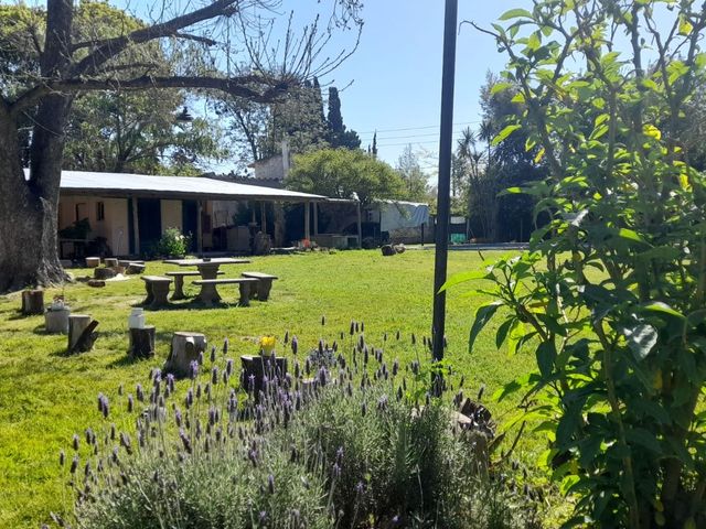 place photo 67