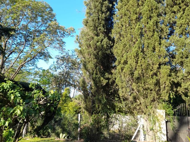 place photo 55