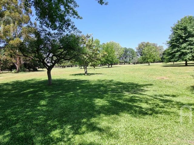 place photo 30