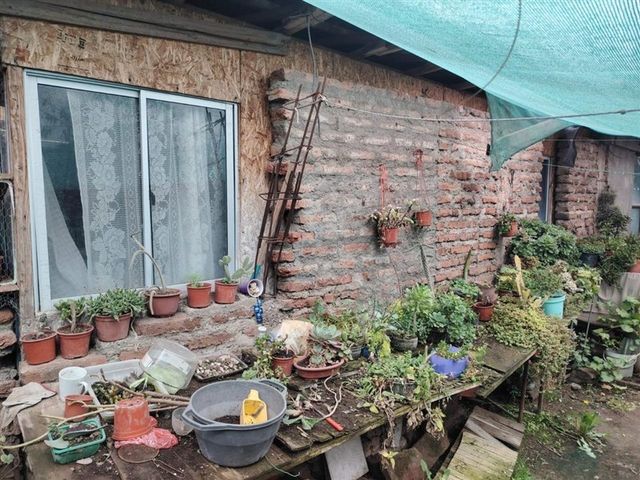 place photo 16