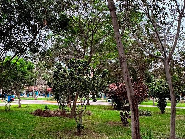 place photo 23