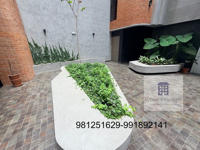 place photo 52