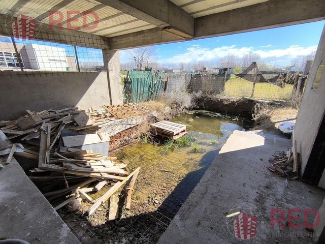 place photo 40