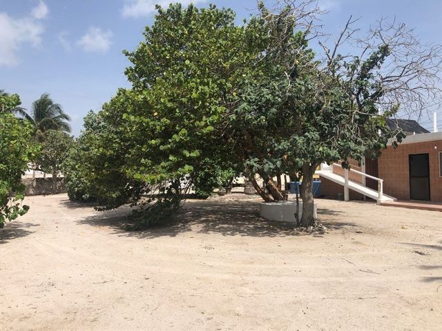 place photo 31