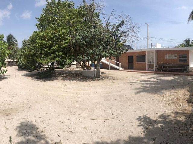place photo 32