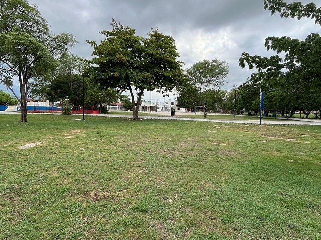 place photo 36