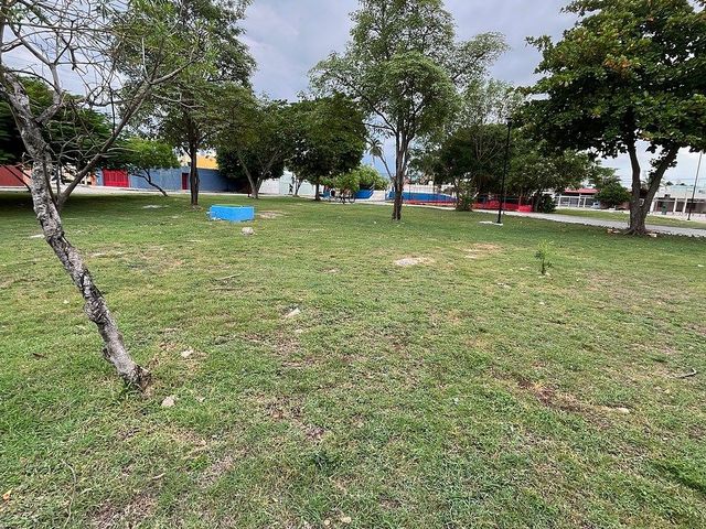 place photo 42