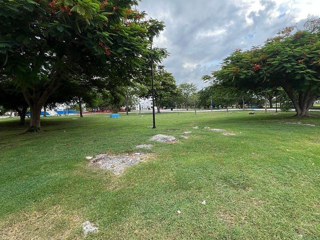 place photo 43