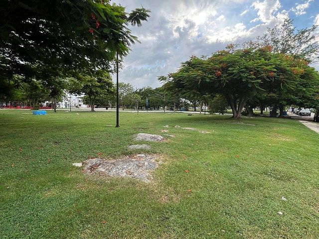 place photo 39
