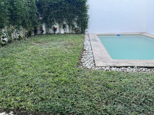 place photo 36