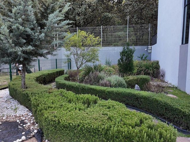 place photo 33