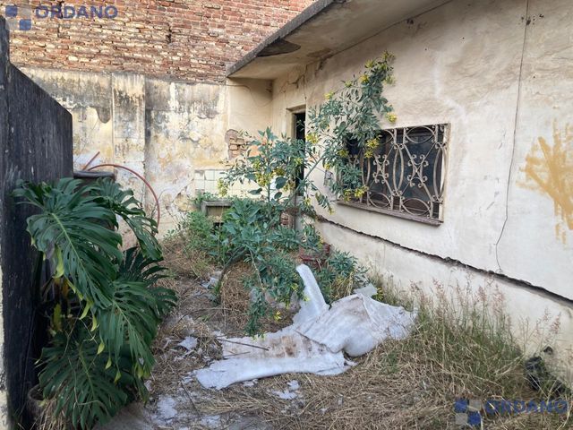 place photo 24