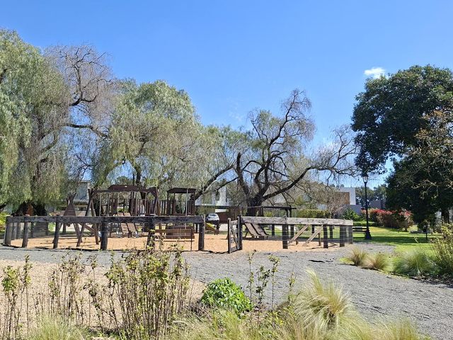 place photo 23