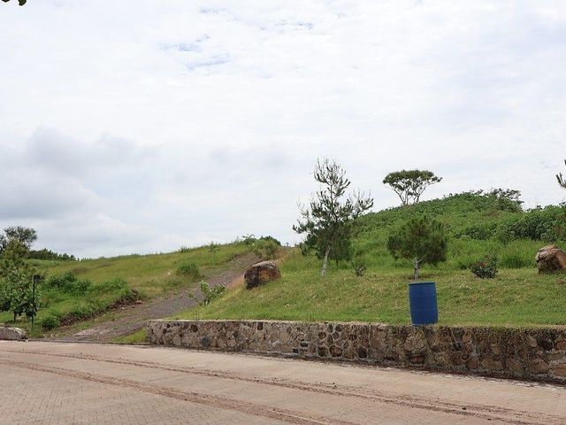 place photo 26