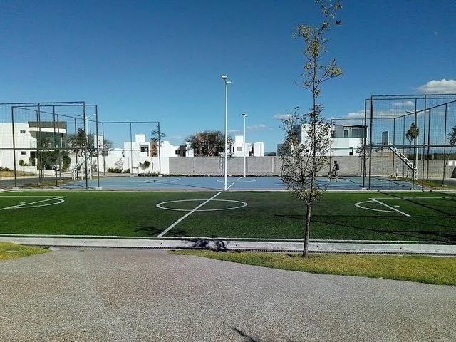 place photo 24