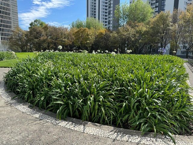 place photo 27