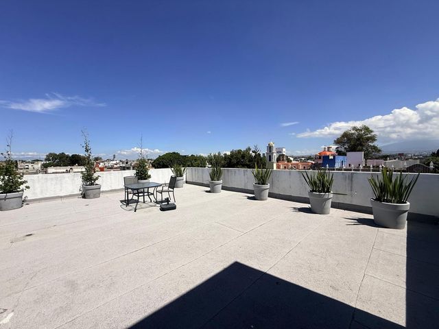 place photo 23