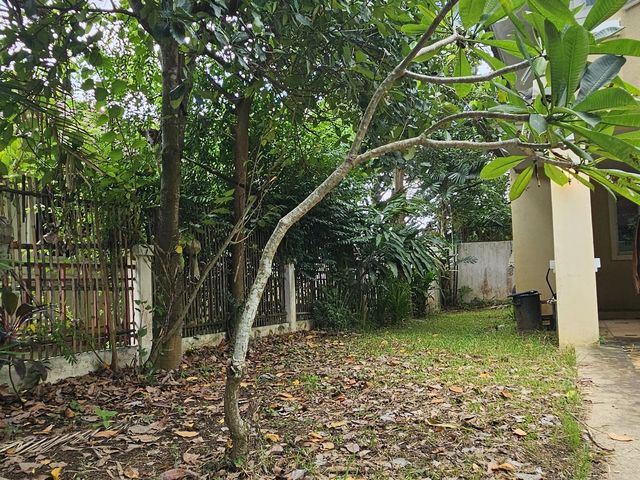 place photo 26