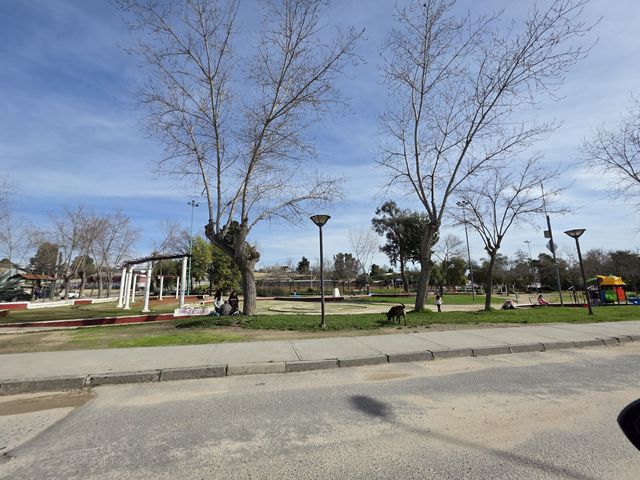 place photo 20