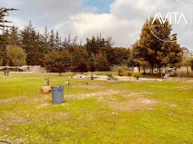 place photo 38