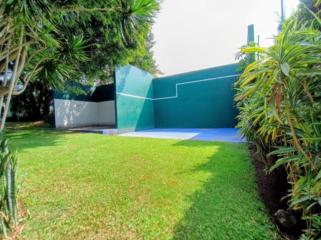 place photo 23