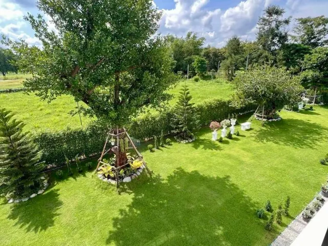 place photo 39