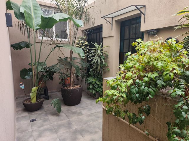 place photo 42