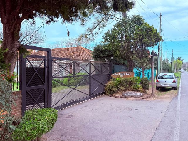 place photo 21