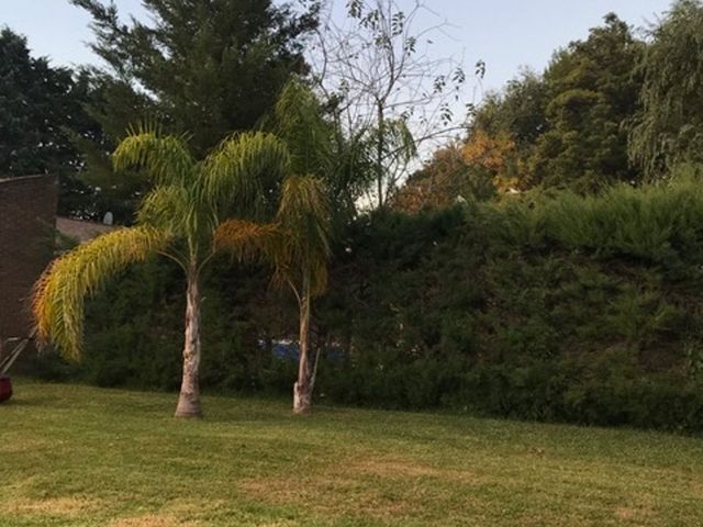 place photo 54