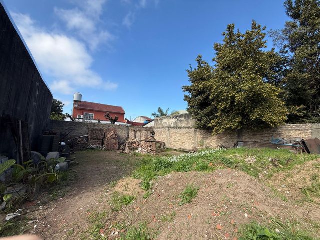 place photo 36