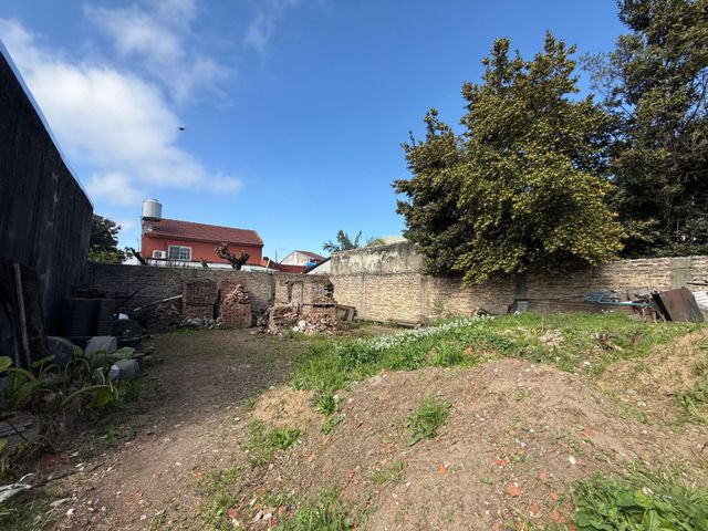place photo 37