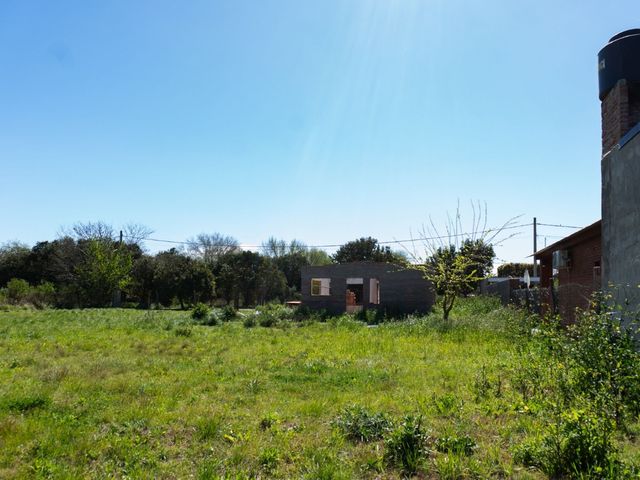 place photo 25